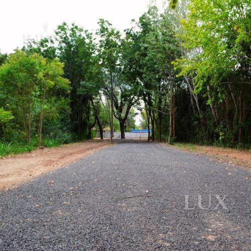 Foto de Terreno en venta, imagen 5