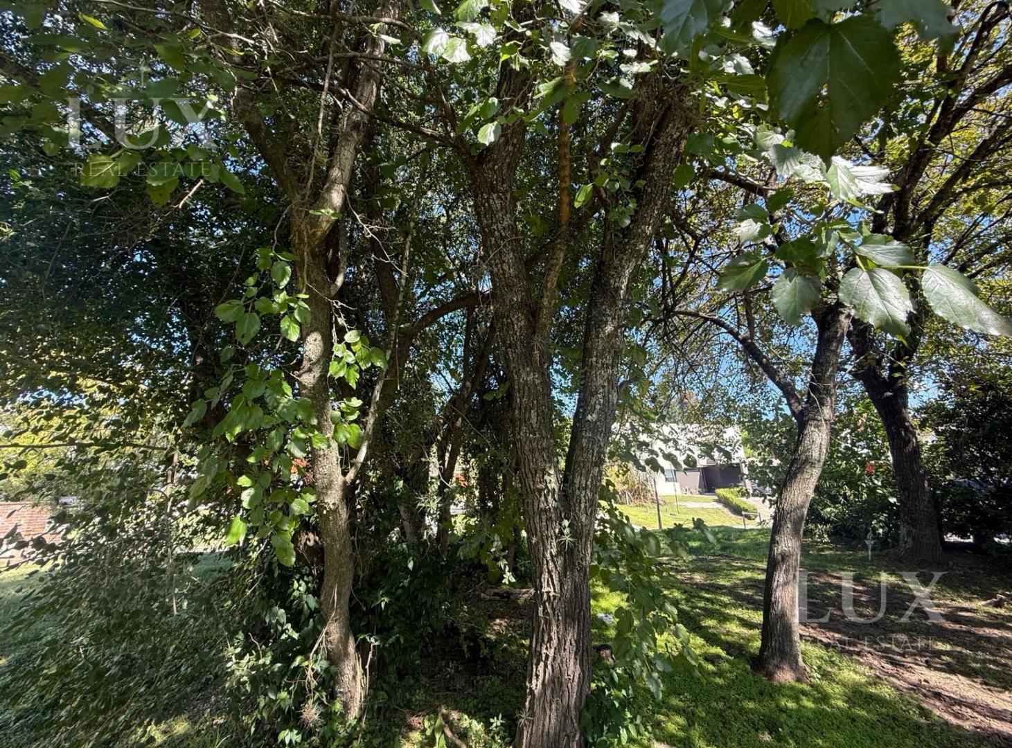 Foto de Terreno en Barrio Nautico Escobar, imagen 4