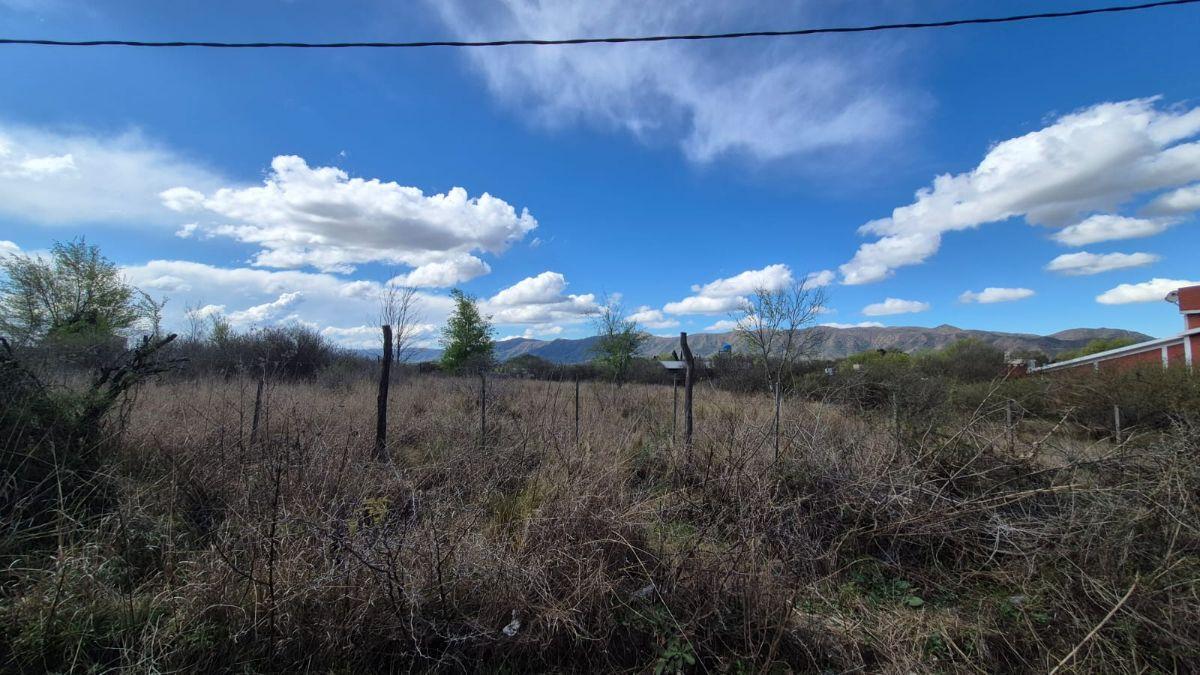 Foto de TERRENO DE 940 M² EN BARRIO MIRADOR DEL LAGO. BIALET MASSE., imagen 5