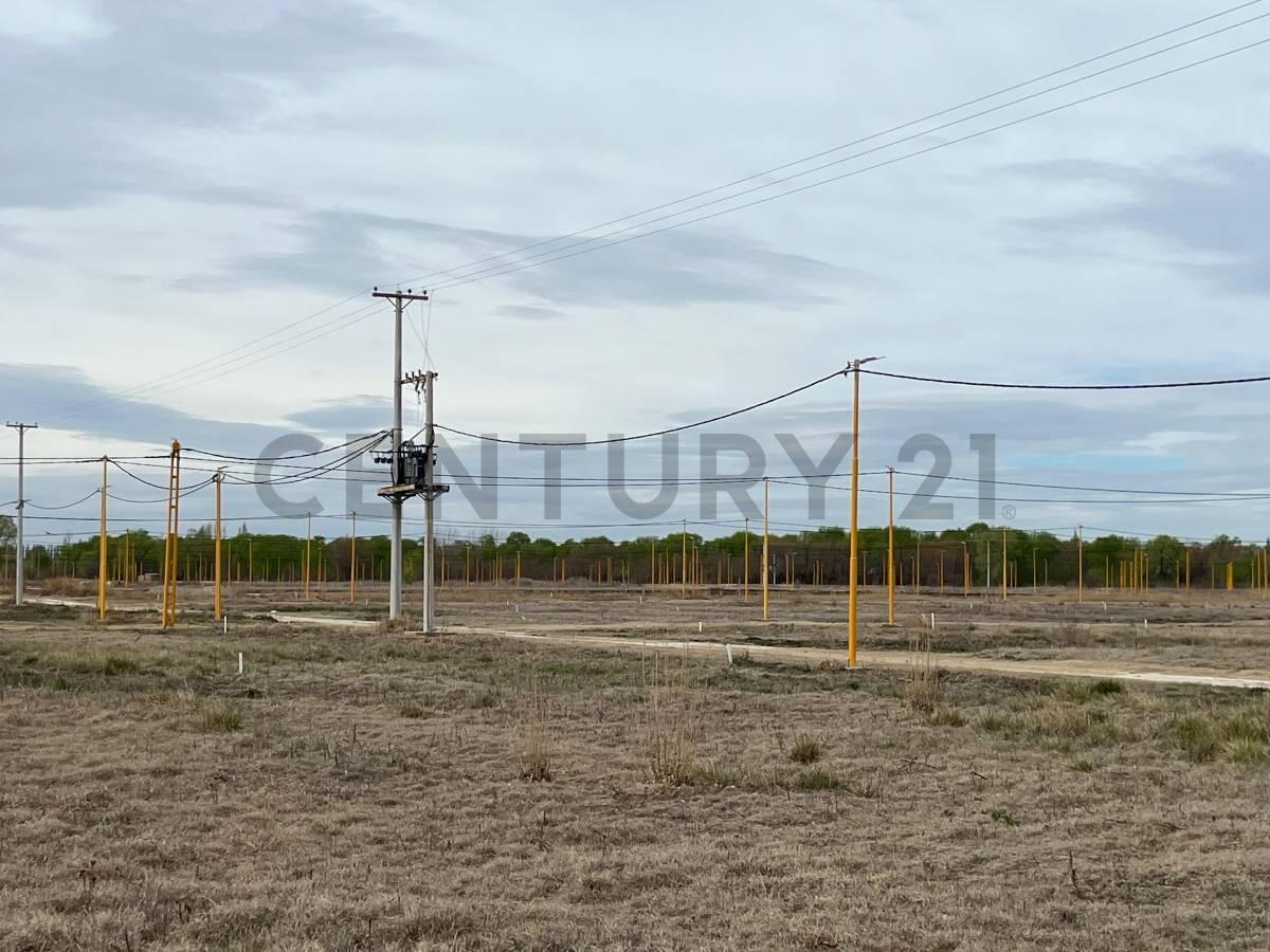 Terreno en Rufina- Cervantes