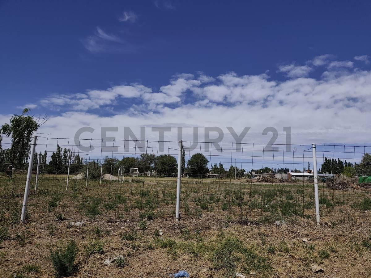 Foto de Pre-Venta deTerrenos en General Roca, imagen 4
