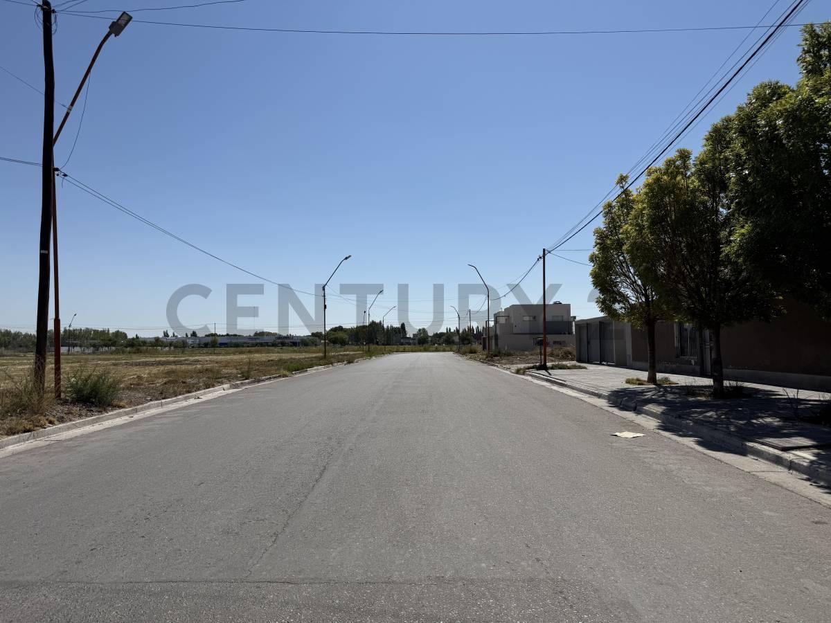 Foto de Terreno 3146m2 apto desarrollo en General Roca, imagen 3