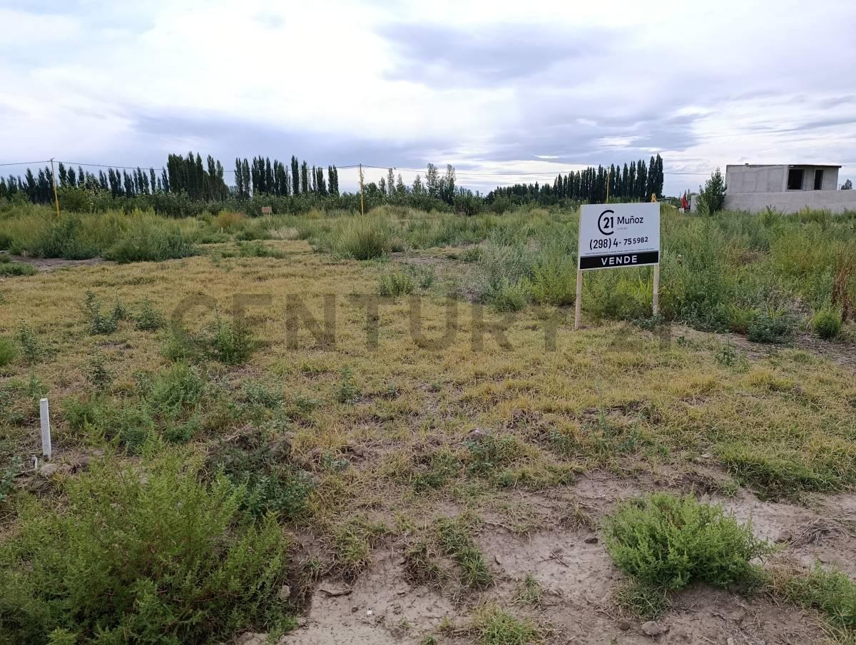 Foto de Oficina comercial en Venta en General Roca, imagen 3