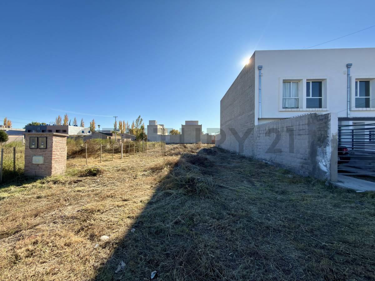 Lote | Terreno | Zona Stefenelli, apto desarrollo.