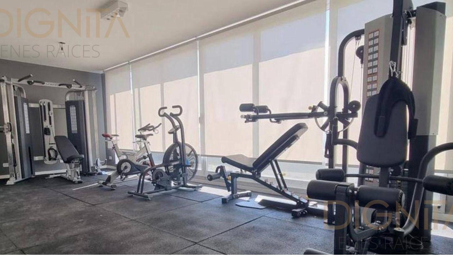 Foto de Venta Departamento Mono Palermo, imagen 5