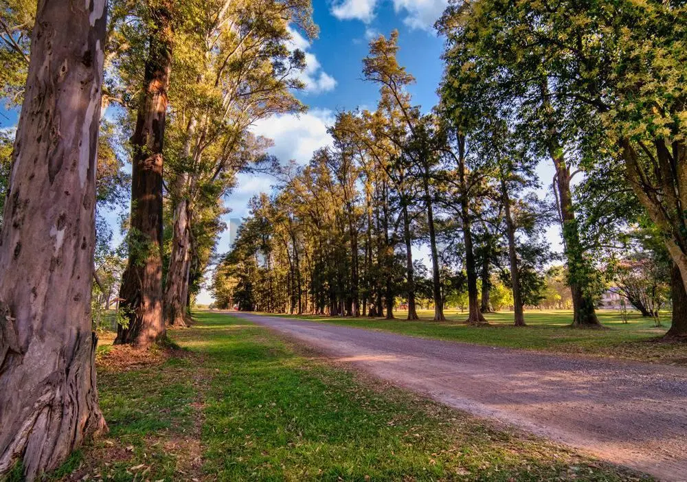 VENTA Lote N° 112 de 1.000 m2 | BARRIO POLO EN TRES PINOS, GENERAL RODRIGUEZ - Acepta permuta 4