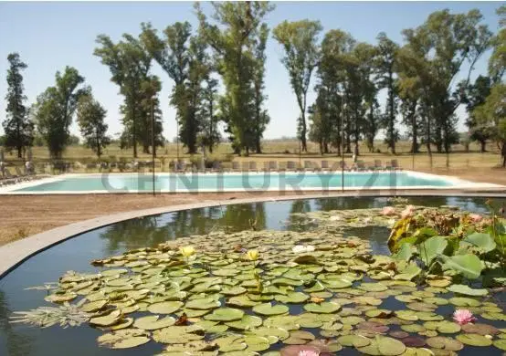 LOTE CLUB DE CAMPO TRES PINOS GENERAL RODRIGUEZ 5