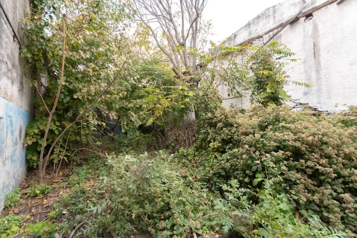 Venta Depósito/Galpón con Entrada Independiente – Piñeyro, Avellaneda 5