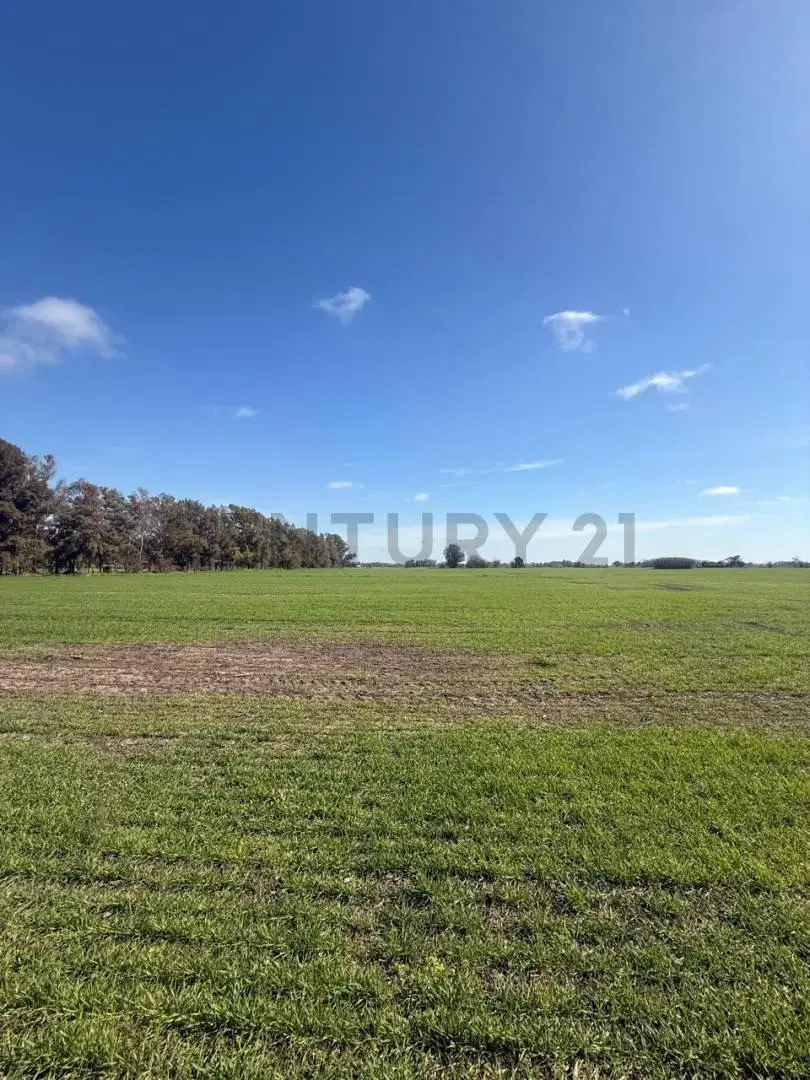 VENTA IMPERDIBLE FRACCION CAMPO EN LOBOS 3