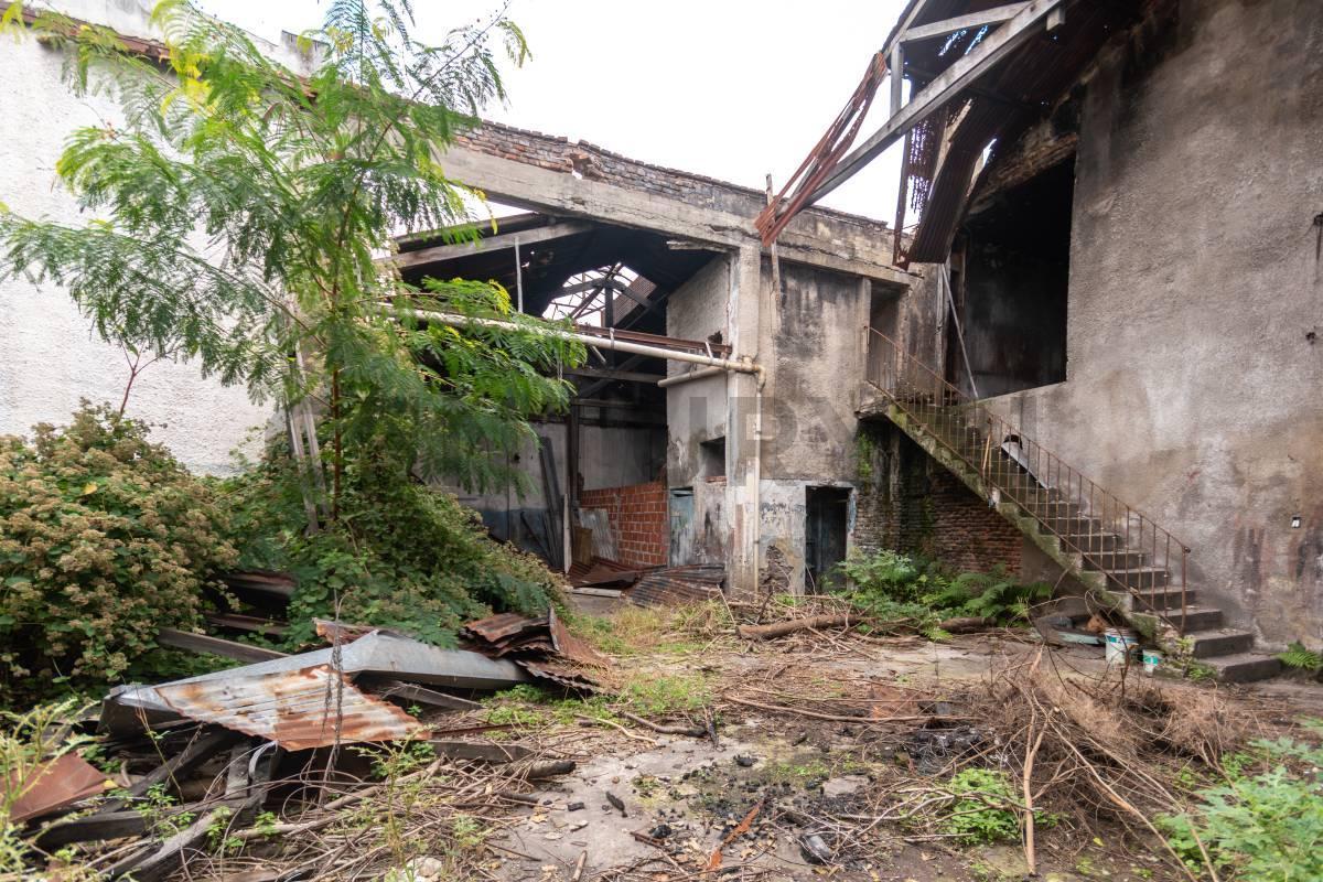 Foto de Venta Depósito/Galpón con Entrada Independiente – Piñeyro, Avellaneda, imagen 5