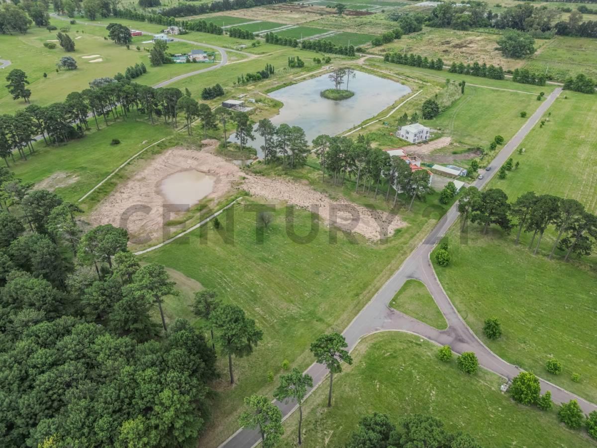 Foto de Venta de 2 macrolotes y 2 casas de 4 ambientes, imagen 4