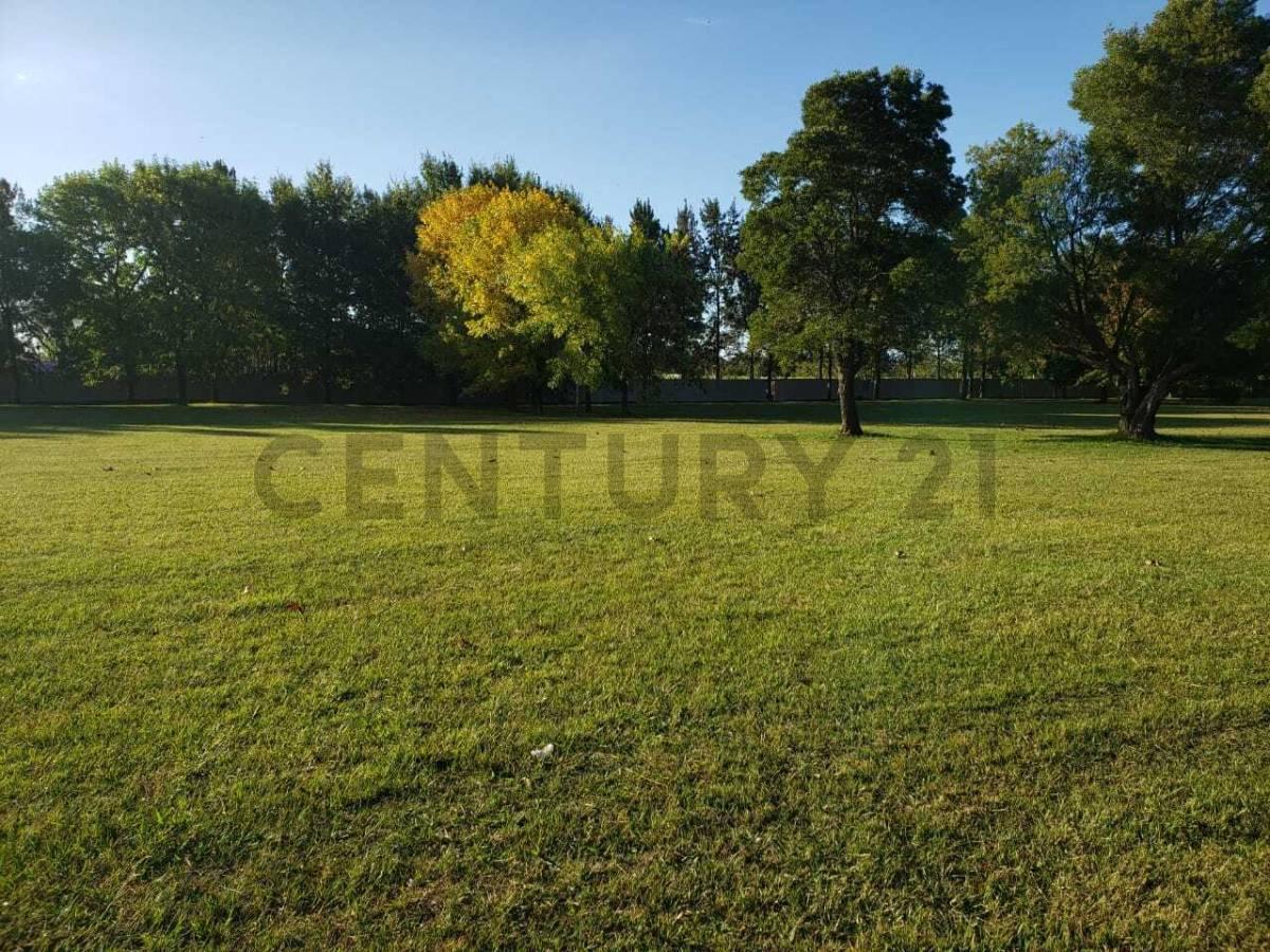 Foto de Venta Lote barrio privado Haras del Sol, imagen 2