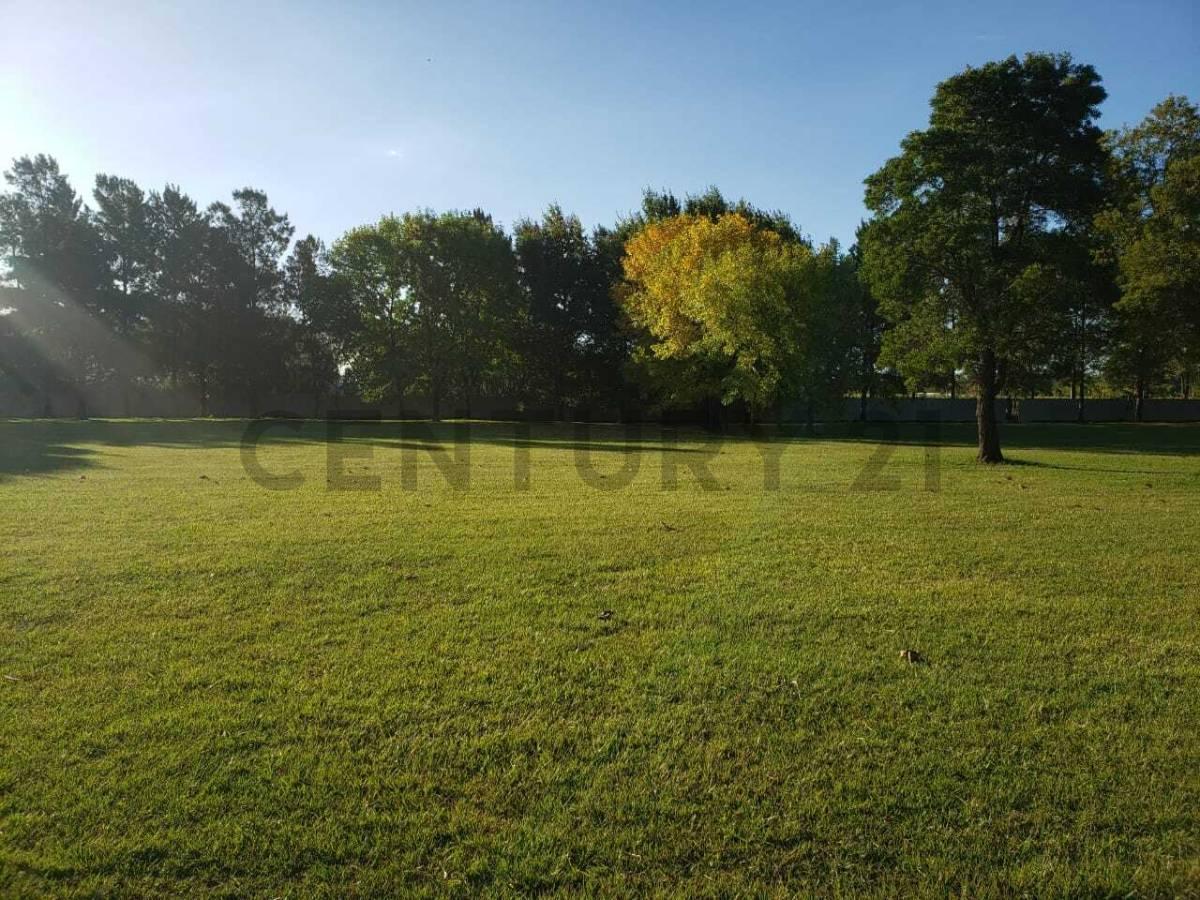 Foto de Venta Lote barrio privado Haras del Sol, imagen 4
