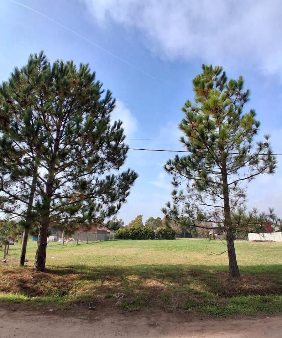 Foto de Terreno hectárea en Cotos de la Alameda, imagen 2