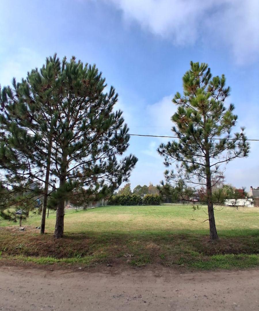 Foto de Terreno hectárea en Cotos de la Alameda, imagen 3