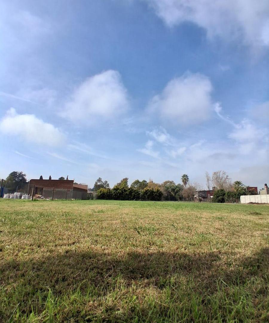 Foto de Terreno hectárea en Cotos de la Alameda, imagen 4