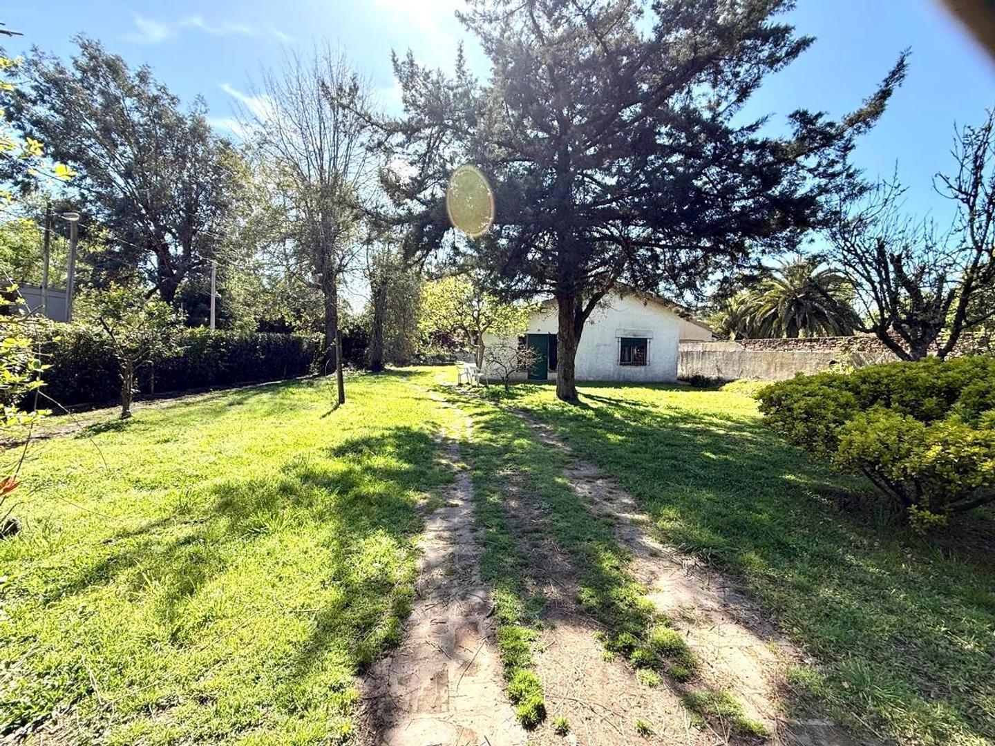 casa loma verde
