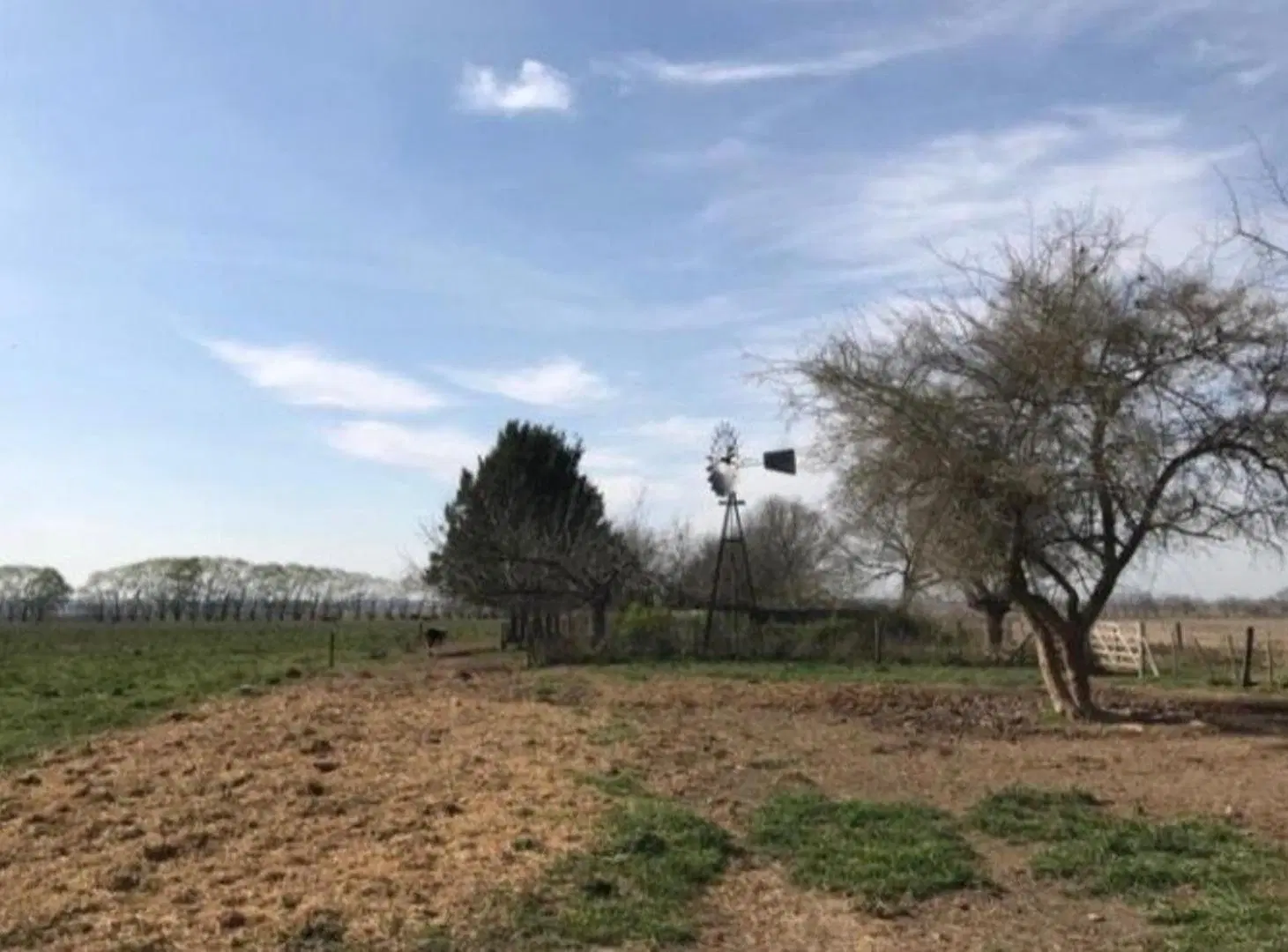 175 HA EN CARDALES 5