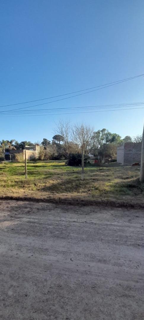 Foto de TERRENO EN BARRIO NEWBERY SAUCE, imagen 1