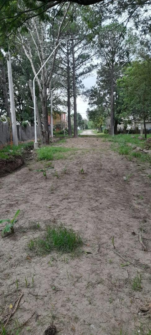 Foto de VENDE TERRENOS EN SAUCE VIEJO, imagen 5