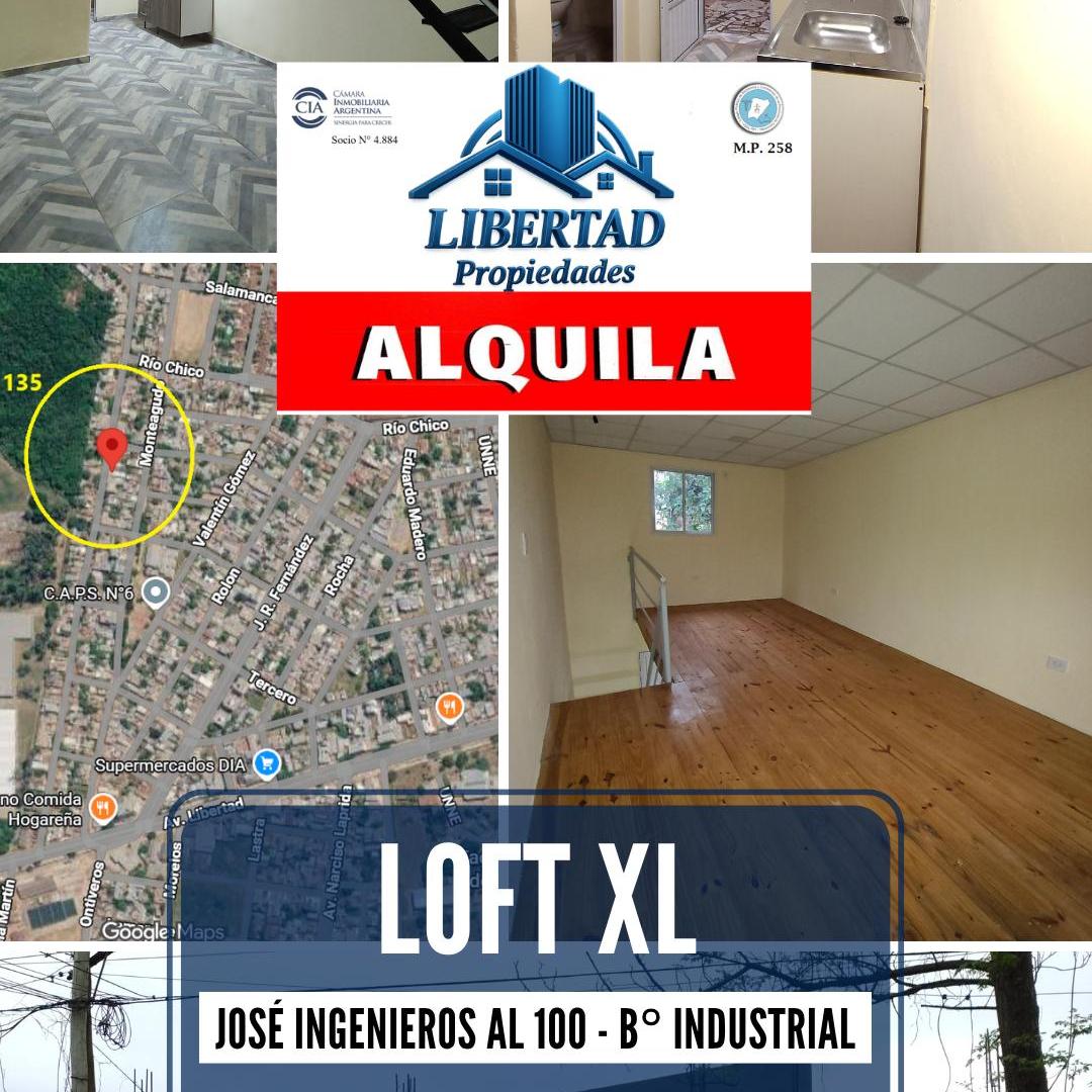 Foto de Alquilo LOFT XL, imagen 4