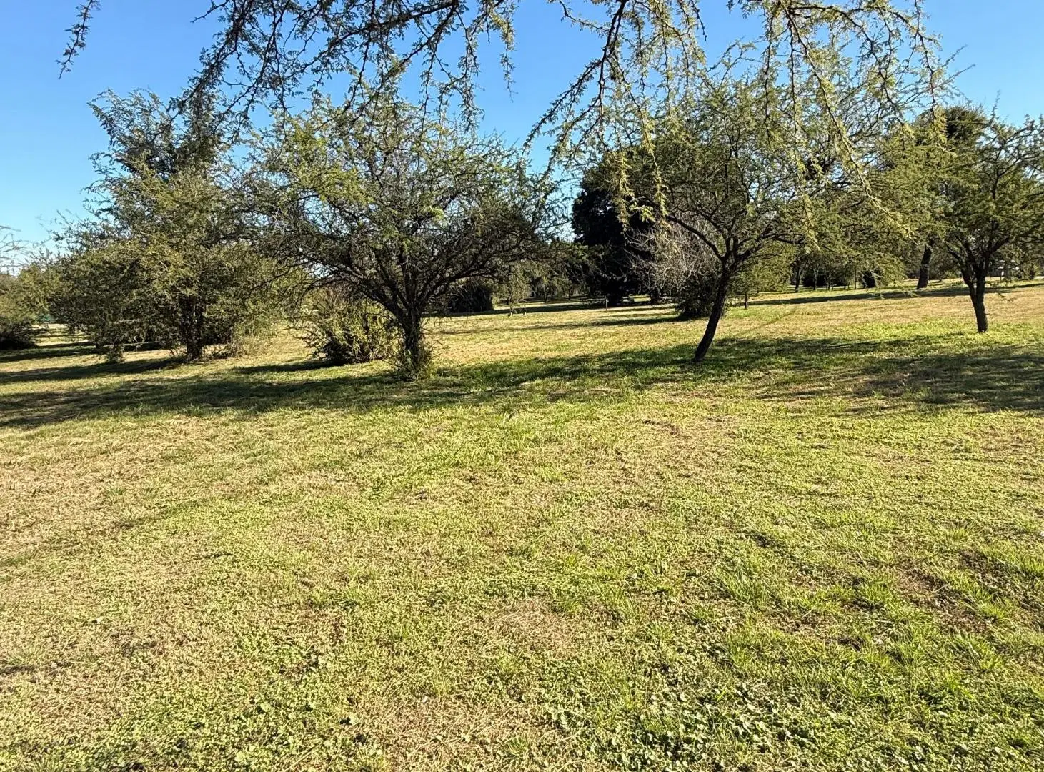 LOTES EN VENTA DE 450 M2 EN BARRIO PRIVADO CON SEGURIDAD 24 HS - LA ADELA, UNQUILLO. 5