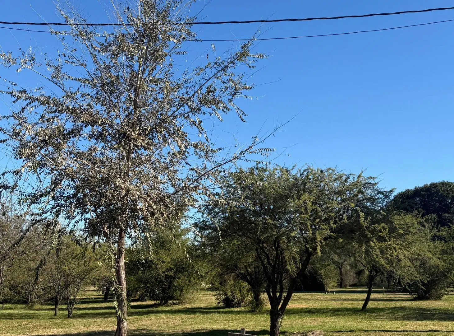 LOTES EN VENTA DE 450 M2 EN BARRIO PRIVADO CON SEGURIDAD 24 HS - LA ADELA, UNQUILLO. 3