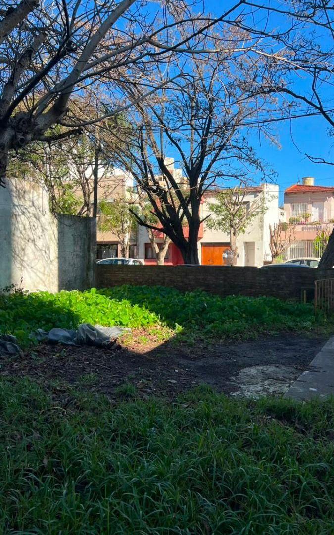 Foto de LOTE EN VENTA - DIAGONAL 96 ENTRE PLAZA 19 DE NOVIEMBRE Y 45 - 301, imagen 1