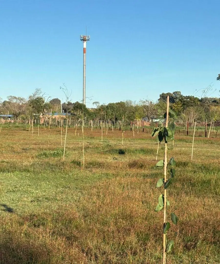 VENTA LOTES - BARRIO DEL LAS FLORES - LOMA VERDE - ESCOBAR 4