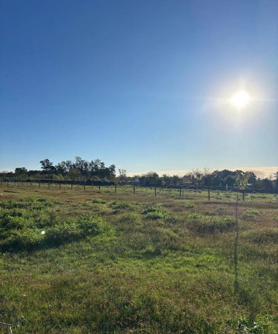 VENTA LOTES - BARRIO DEL LAS FLORES - LOMA VERDE - ESCOBAR 3