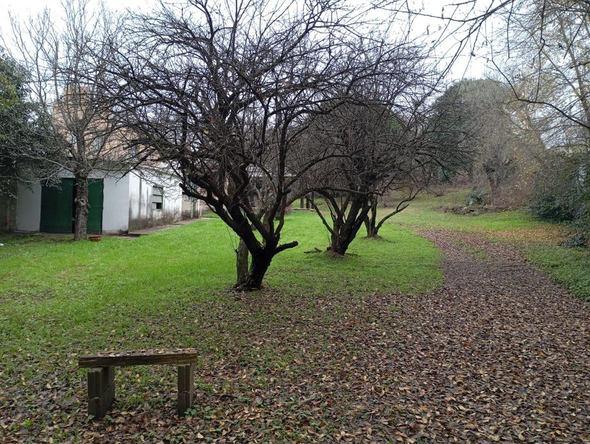 Foto de CASA EN VENTA dos dormitorios (ALTA GRACIA)LA RINCONADA, imagen 4