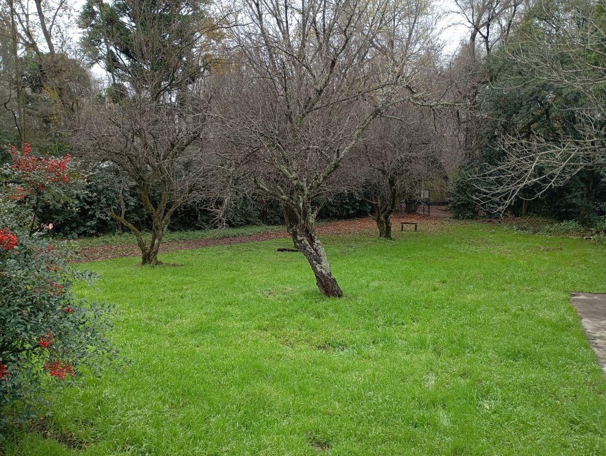 Foto de CASA EN VENTA dos dormitorios (ALTA GRACIA)LA RINCONADA, imagen 3