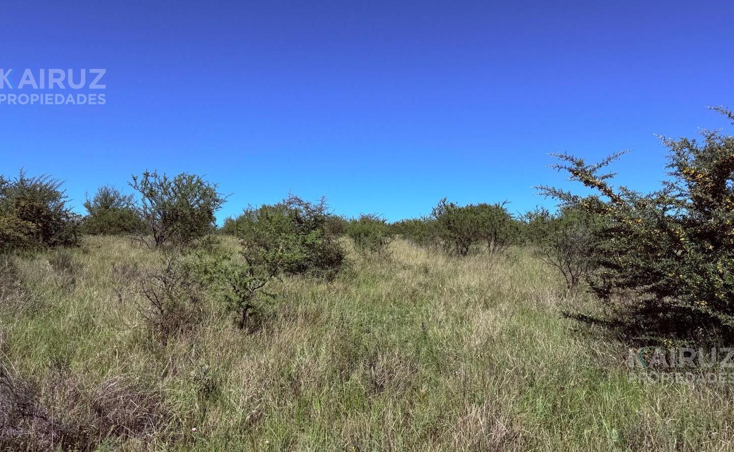Foto de TERRENO EN VENTA EN POTRERO DE GARAY - CÓRDOBA / OPORTUNIDAD DE, imagen 3