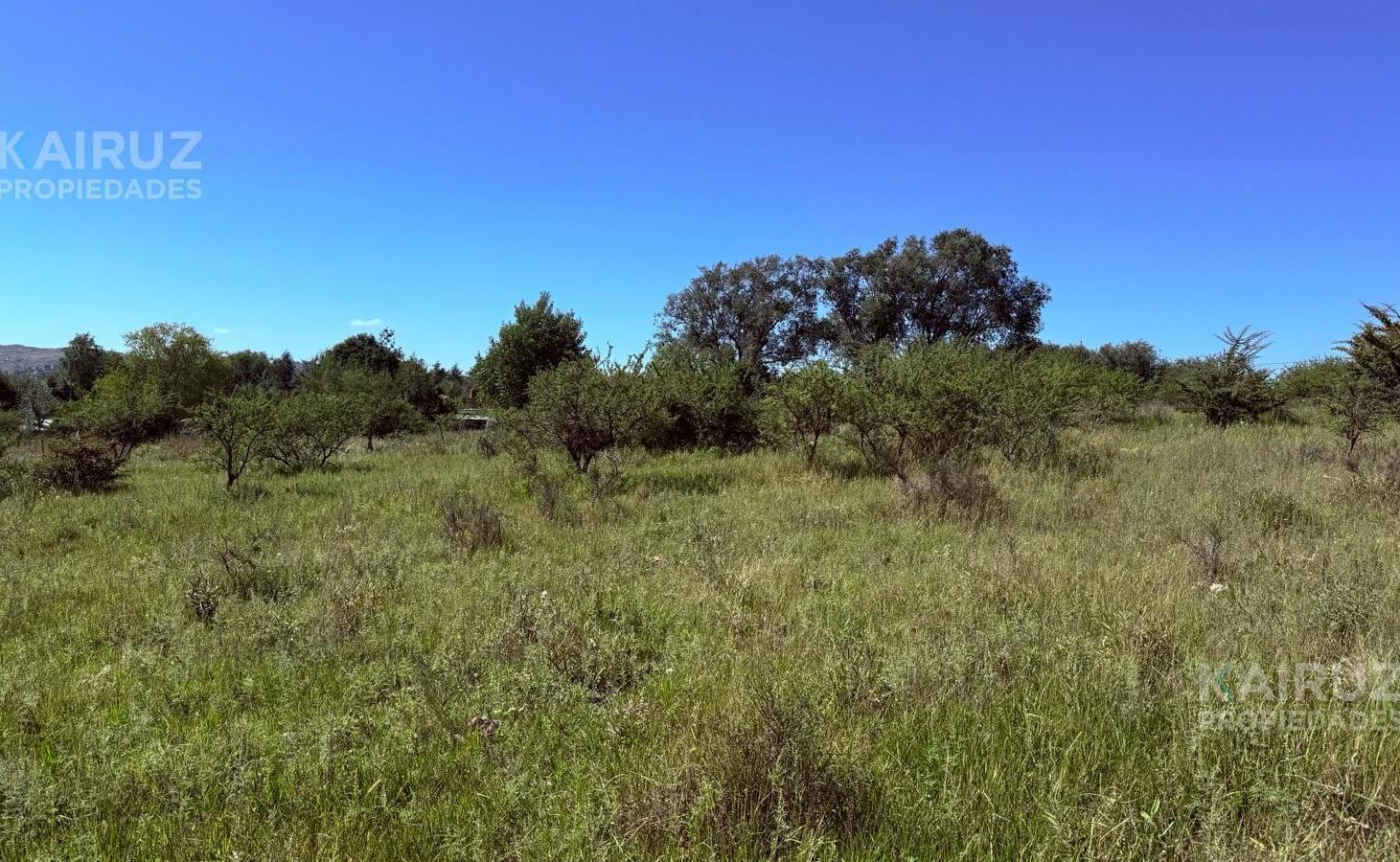 Foto de TERRENO EN VENTA EN POTRERO DE GARAY - CÓRDOBA / OPORTUNIDAD DE, imagen 3