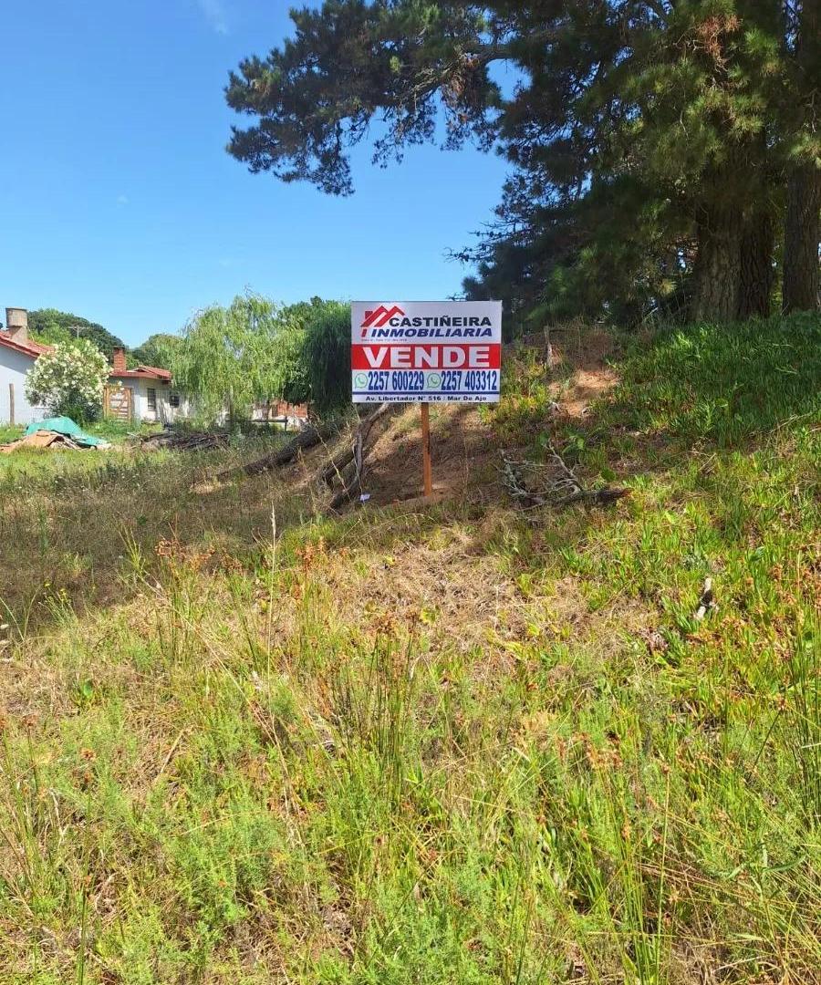 Foto de LOTE A LA VENTA LA LUCILA DEL MAR, imagen 1