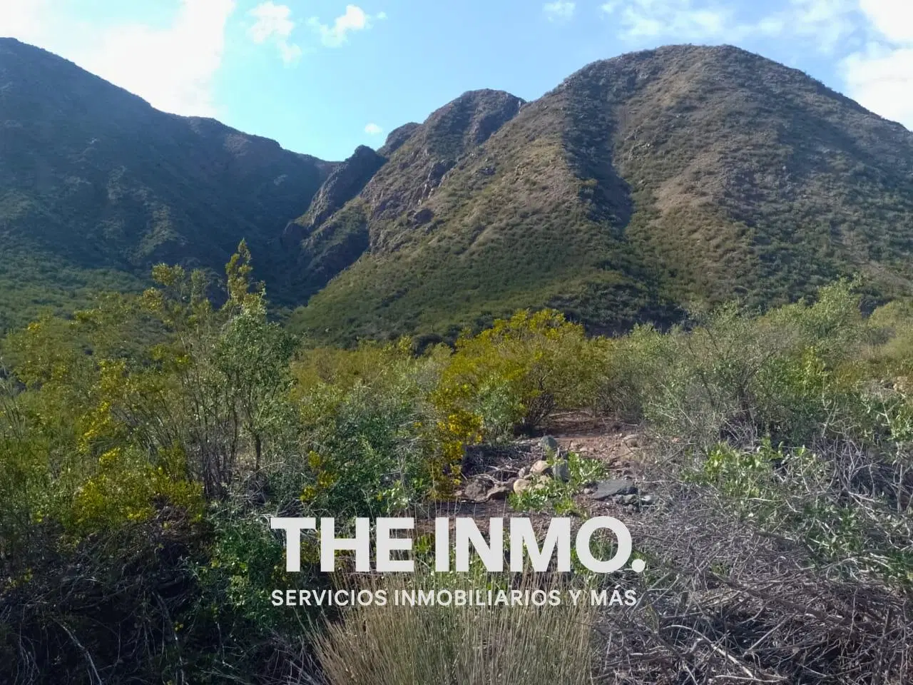 Terreno de 35000 m² en venta en Potrerillos 3
