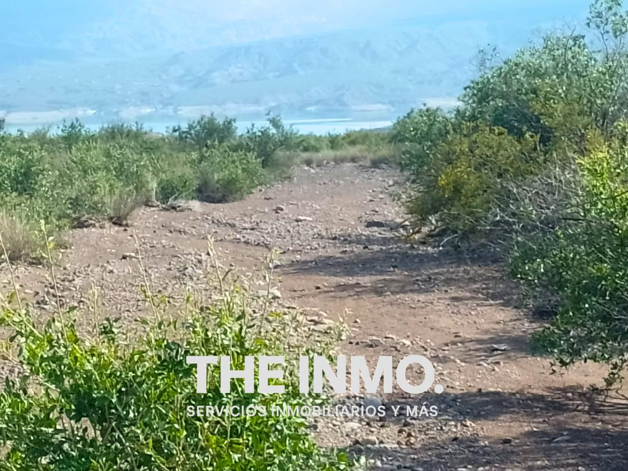 Foto de Terreno de 35000 m² en venta en Potrerillos, imagen 4