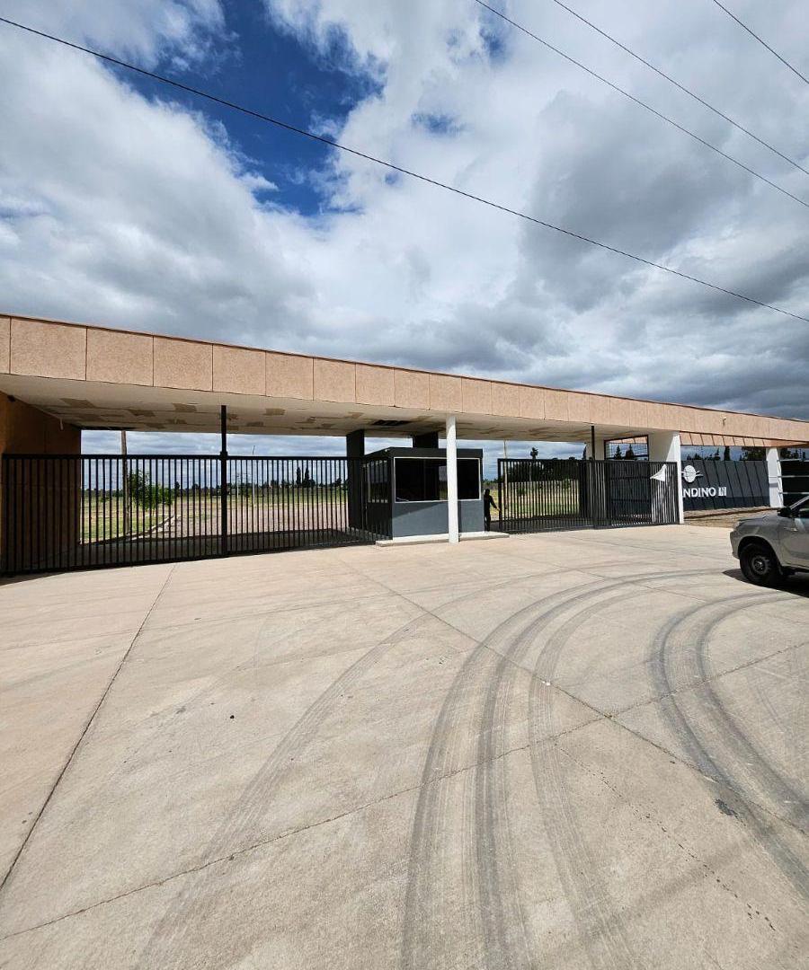 Foto de Terreno de 300 m² en venta en Rodeo de la Cruz, imagen 1