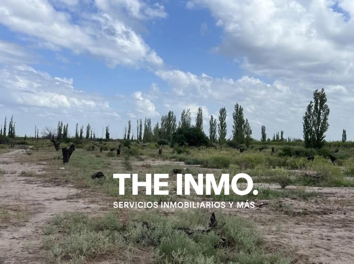 Foto de Finca de 11 ha en venta en Santa Rosa, imagen 4