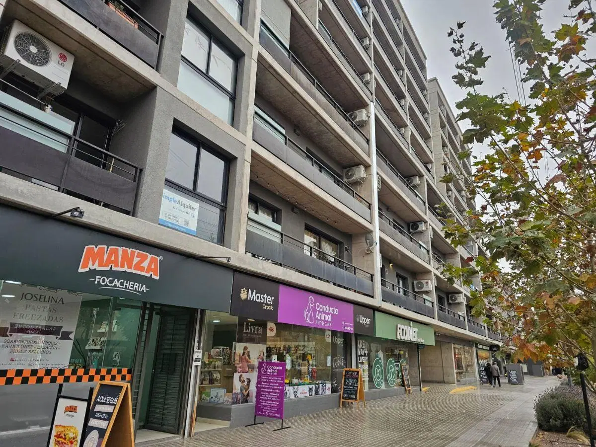 DEPARTAMENTO EN ALQUILER GODOY CRUZ 4