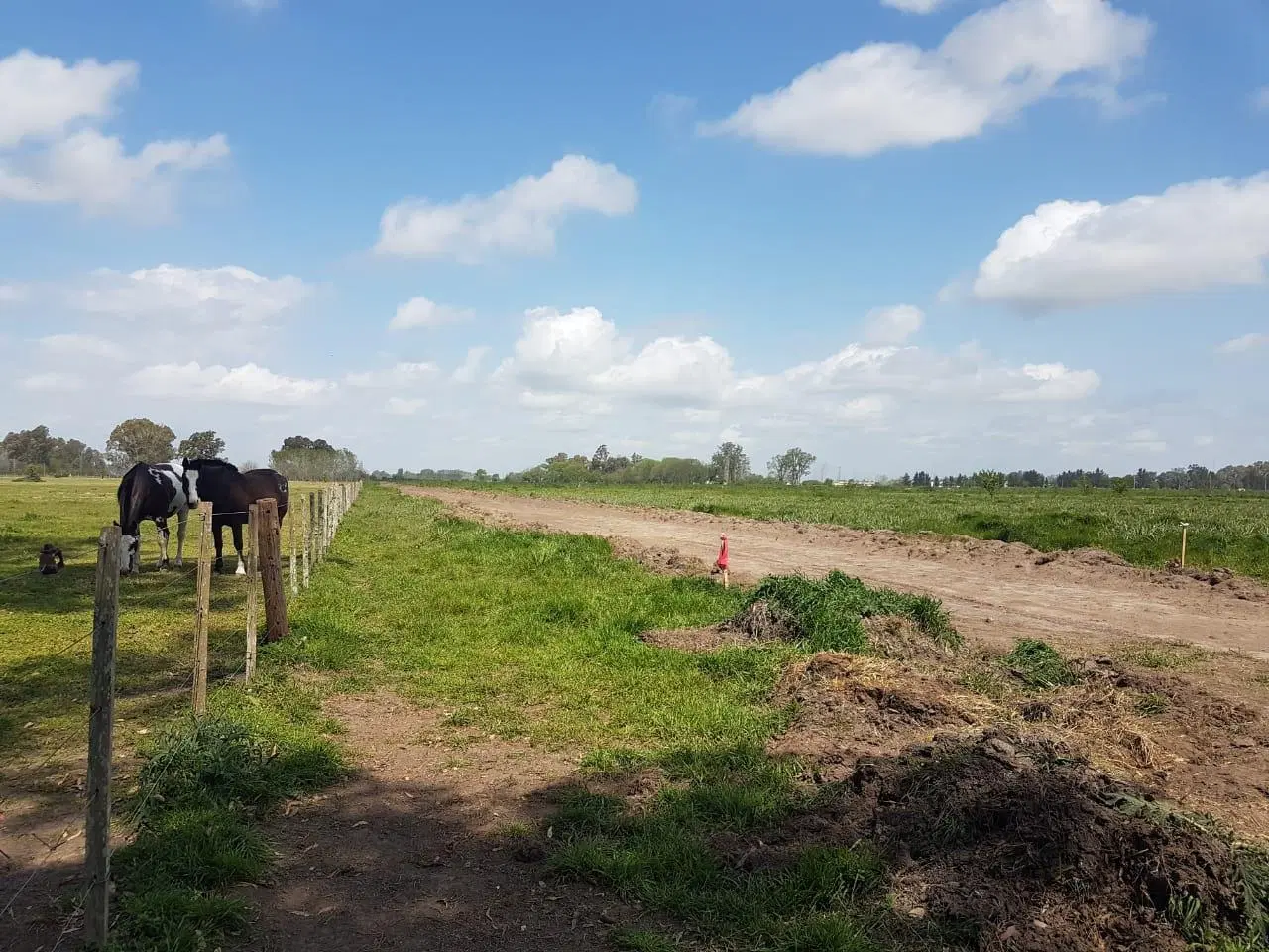 Lote de terreno (financiado) 8