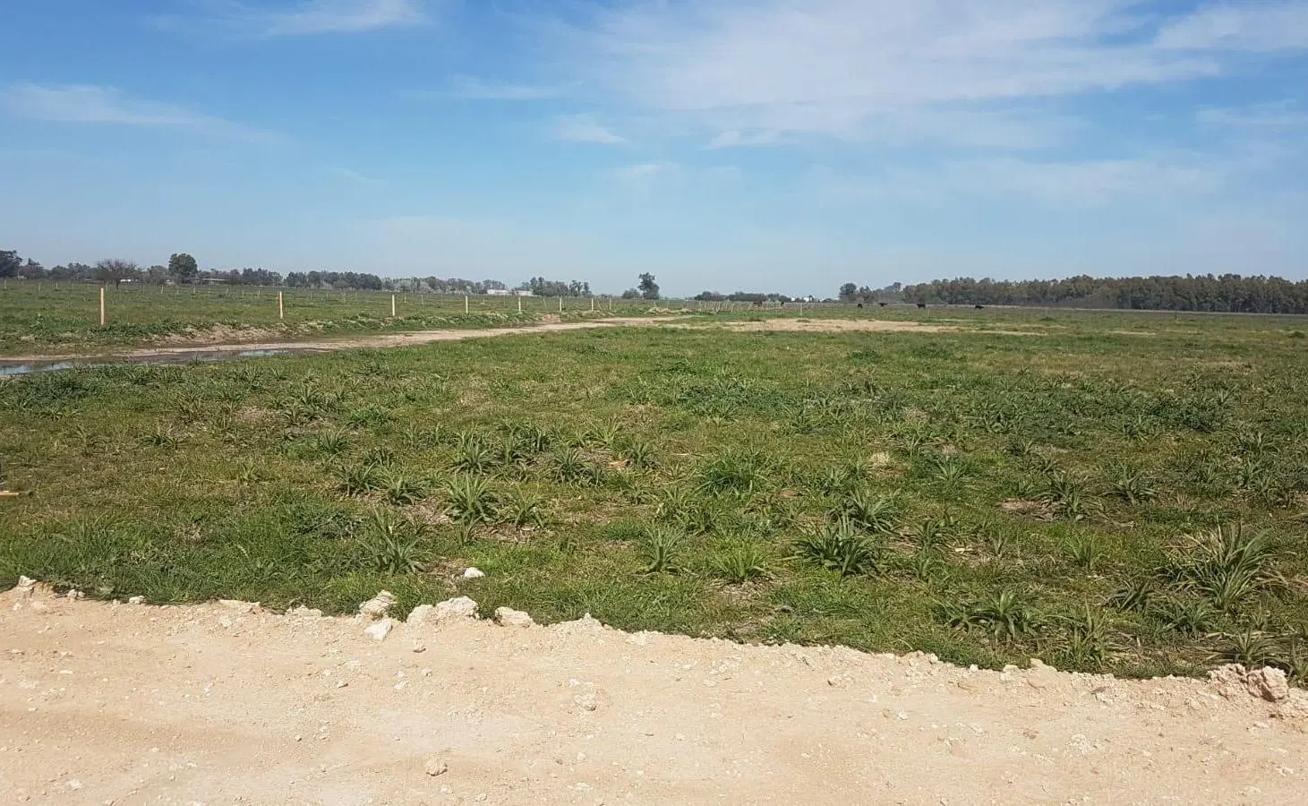 Lote de terreno (financiado) 2
