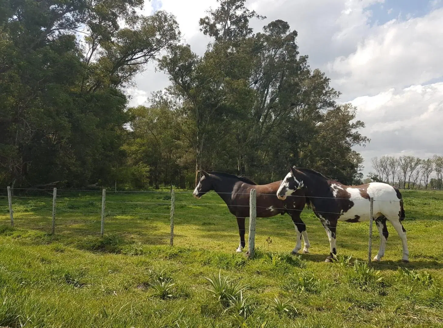 Lote de terreno (financiado) 3