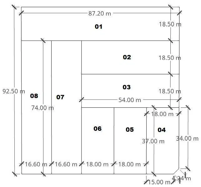 Plano 1