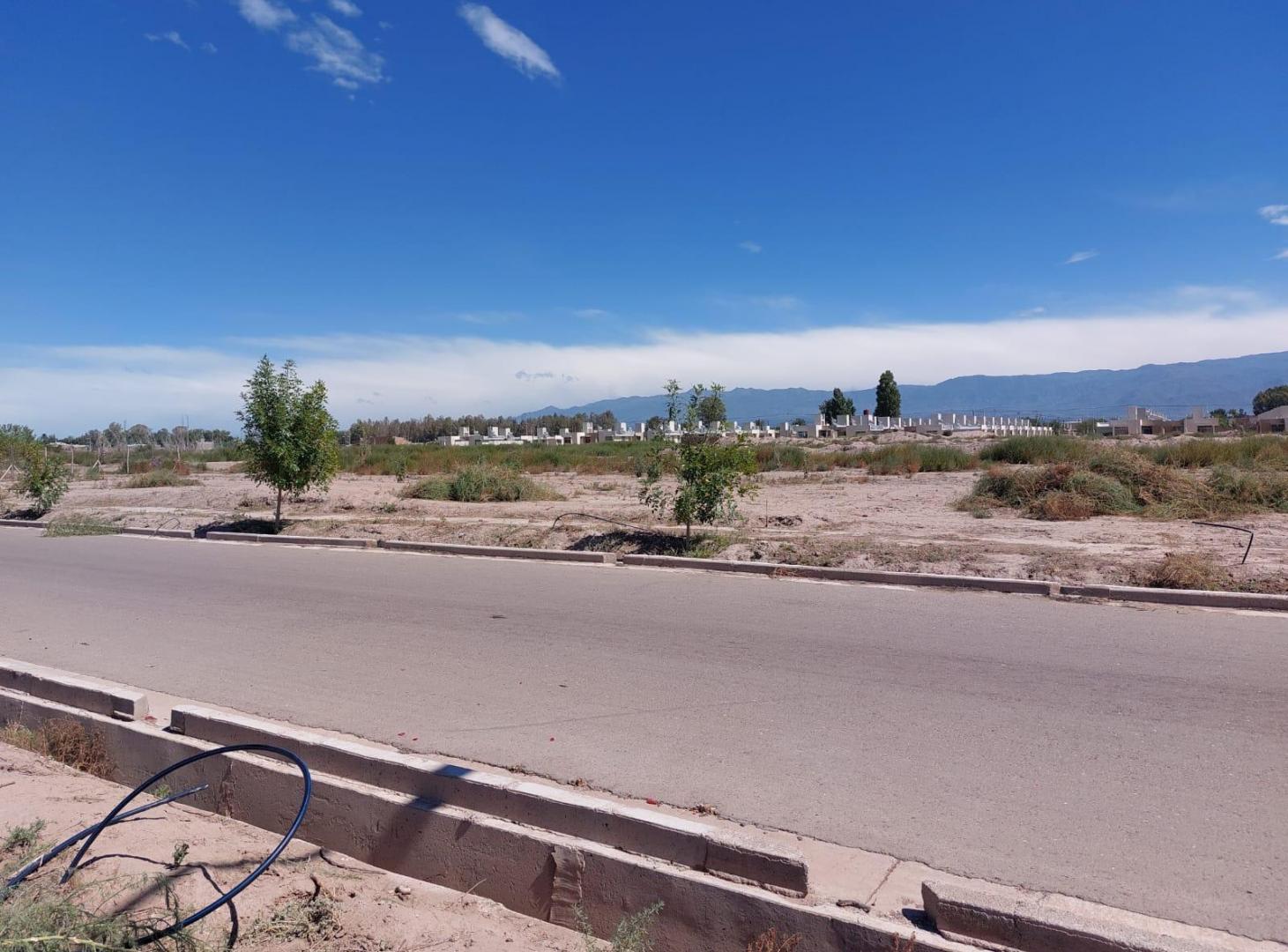 Foto de Terreno en Buena Nueva, imagen 5