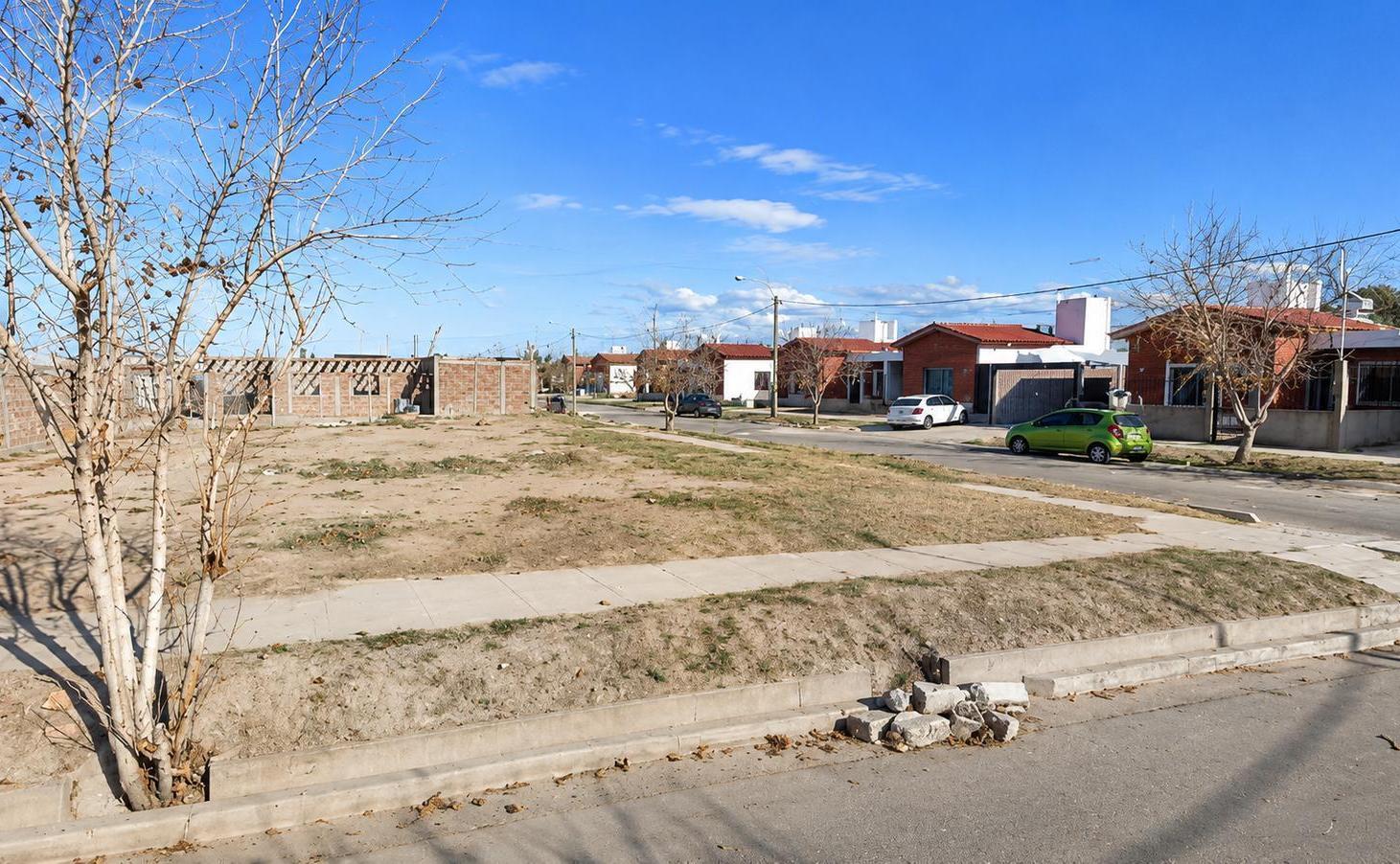Foto de Terreno en Buena Nueva, imagen 3