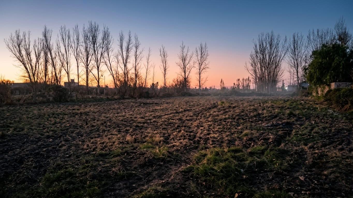 Foto de Terreno en Los Corralitos, imagen 2