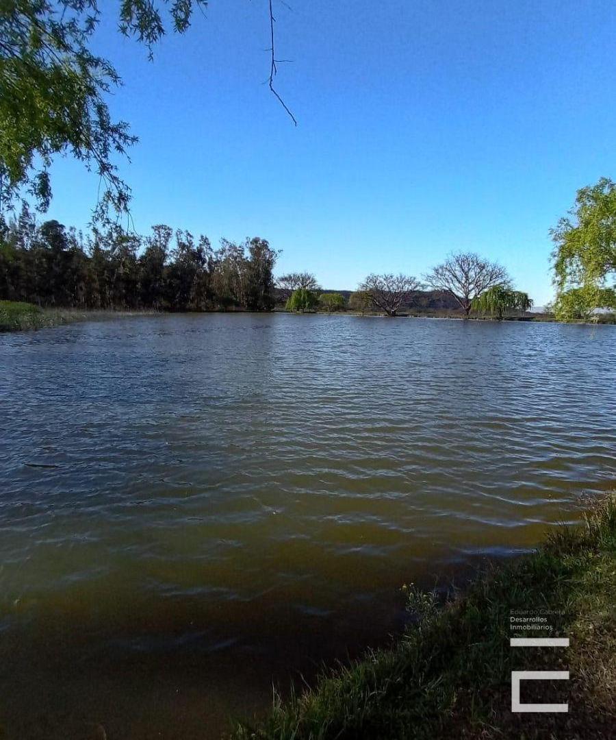 Foto de Terreno / Lote en venta de 1764.39m2 ubicado en El Encon, imagen 5
