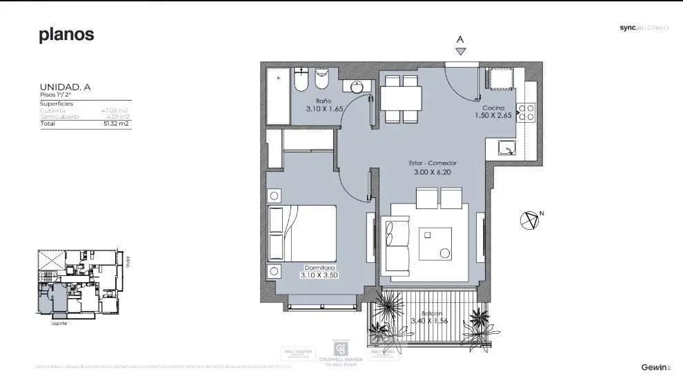 Plano 1
