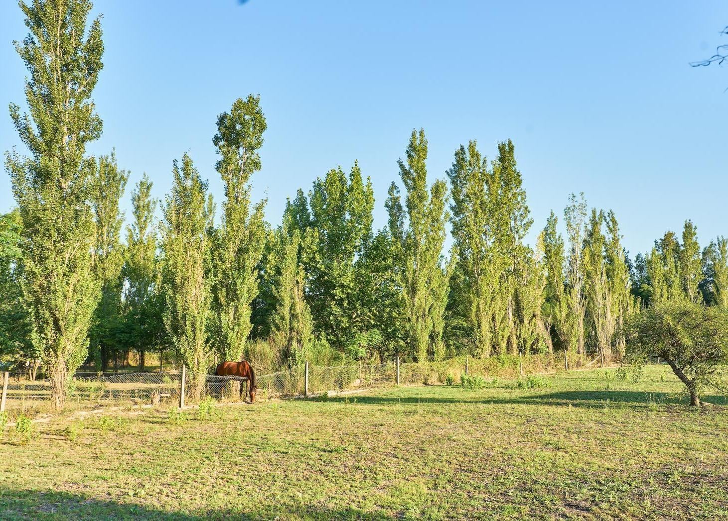 Terreno en venta de 1010m2